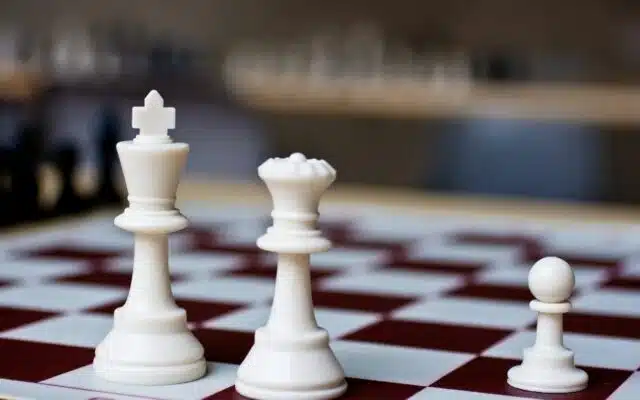 die schachspielende Dame