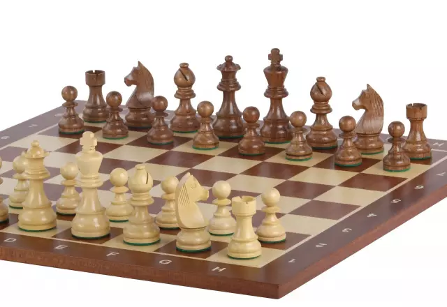 Ensemble Jeu d'Échecs Chevalier Allemand en Bois d'Érable et Acajou et Échiquier Alphanumérique