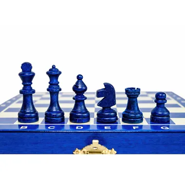 Kleines Klappbares Schachspiel 20 x 20 cm mit Staunton-Figuren und Aufbewahrung