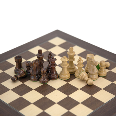 Intensive Spielsituation mit dem Schachspiel Französischer Springer – Le Palais Des Echecs